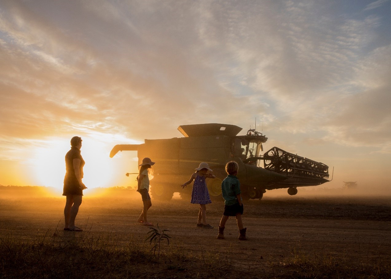 2019 Grand Jury prize winner Chickpea Harvest by Melissa Carrigan