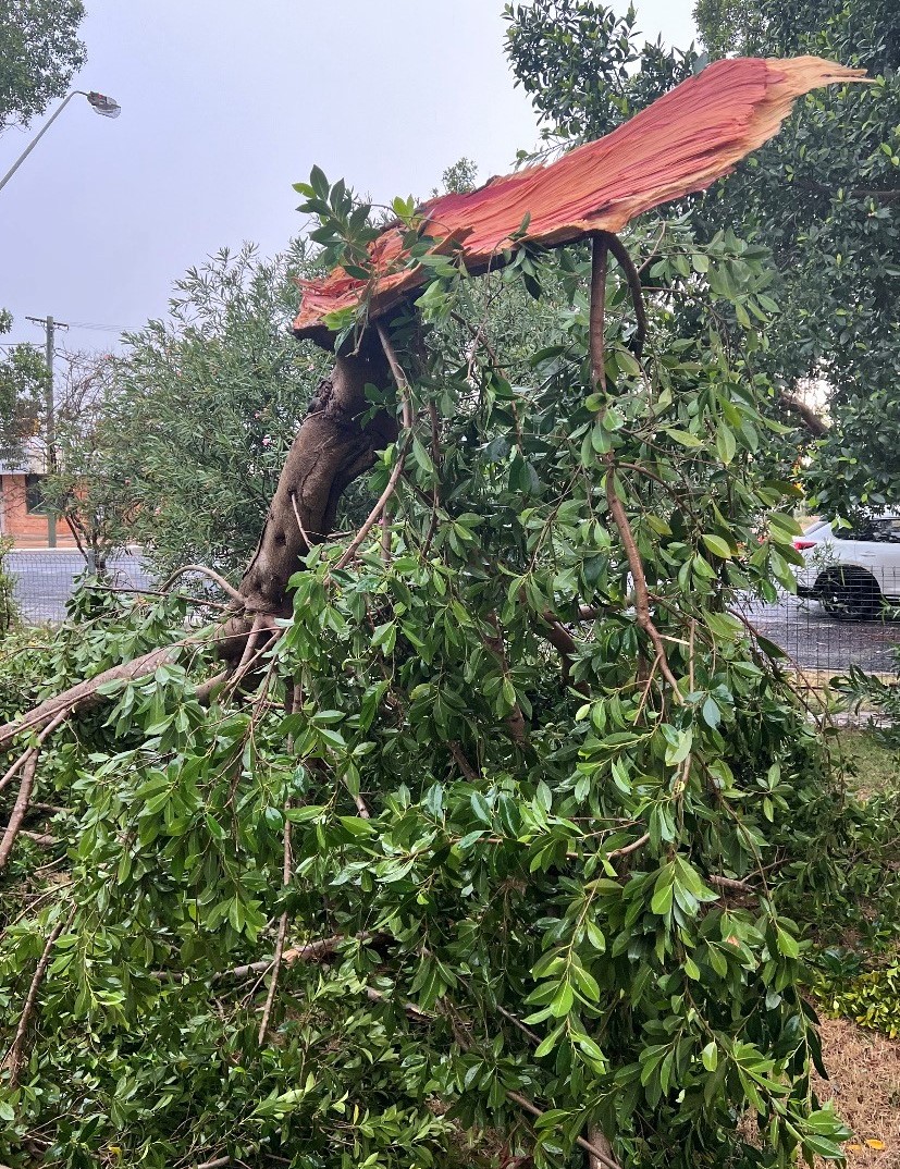 Mungindi after severe thunderstorm