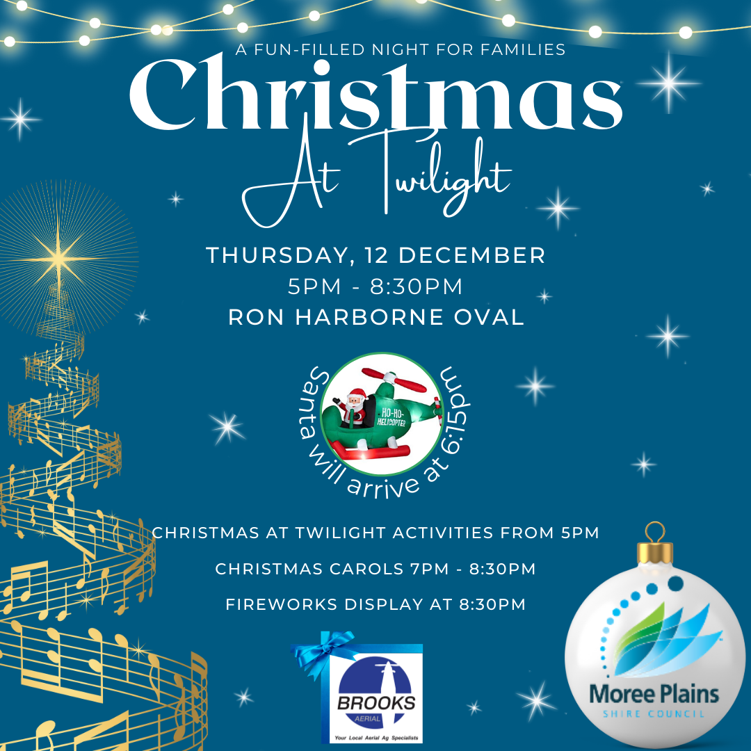 Christmas at Twilight - Save the Date 2024