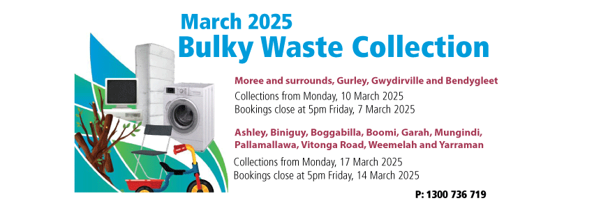 Bulky Waste Collection March 2025 